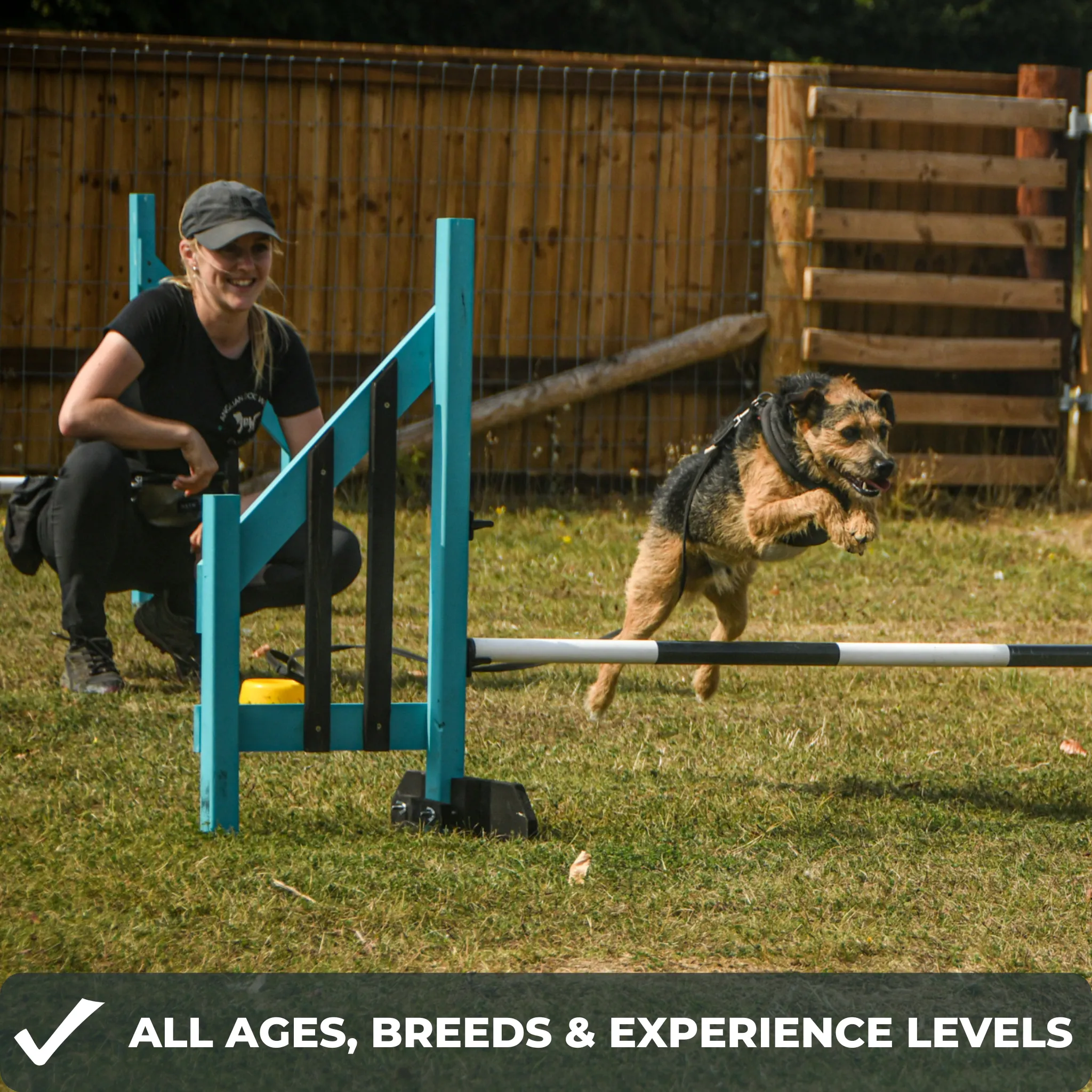 Dog Agility Foundations Course