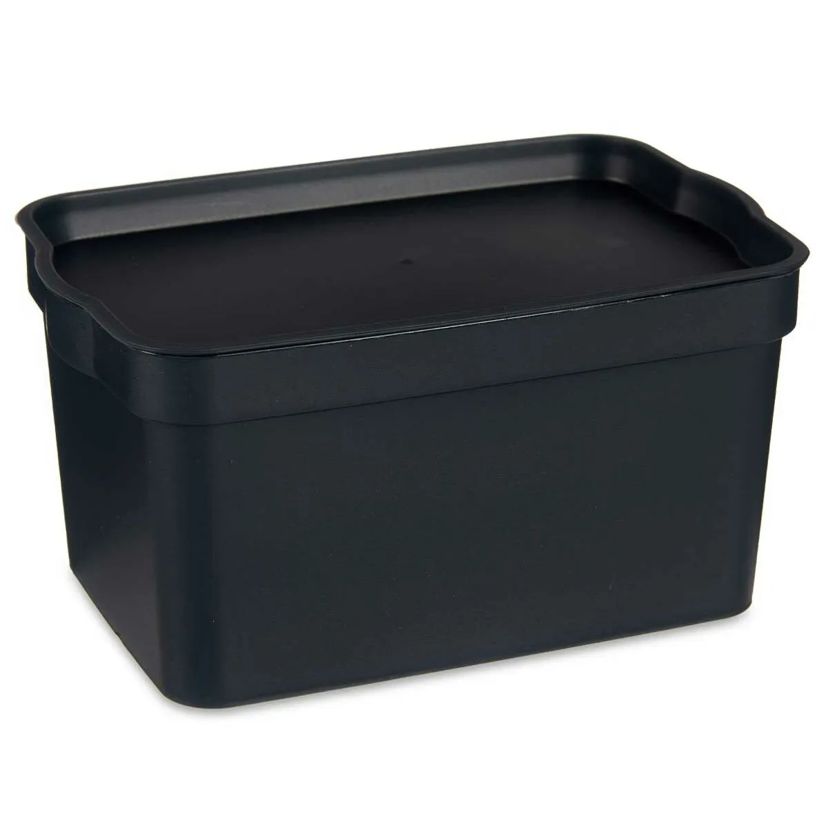 Set of 24 Anthracite Plastic Storage Boxes with Lids - 2.3L Capacity (13.5 x 11 x 20 cm)